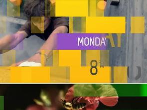 关于娱乐的栏目头,盘点热门栏目，尽享视听盛宴